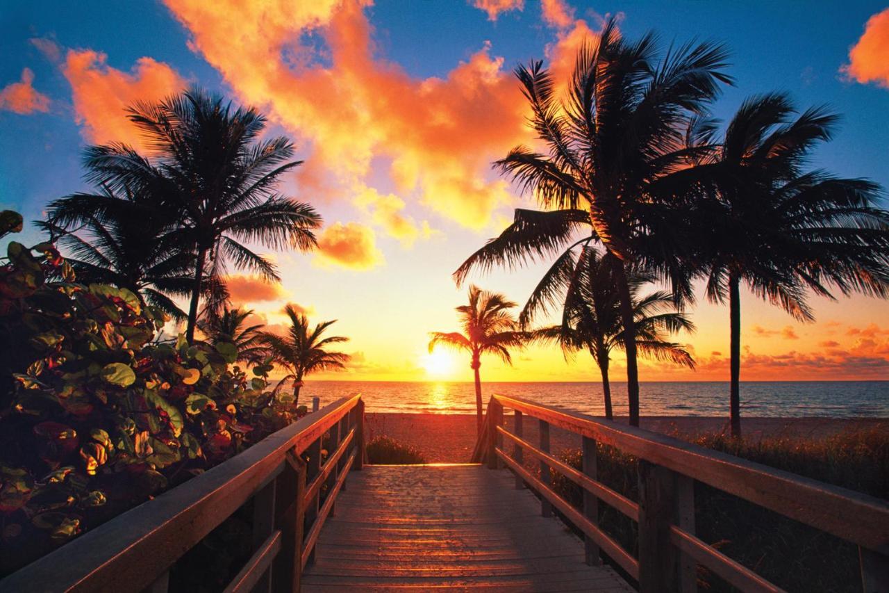 Luxury Private Beach Water-Side Ocean Baby Escape!! Apartment Pompano Beach Bagian luar foto